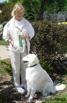Szumeria's Ruby Wildwood Spring CD RE CGC OPA VPA (Brooke)