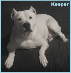 Keeper Feb 2017